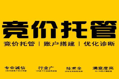 某品牌SEM代运营的成长历程与启示